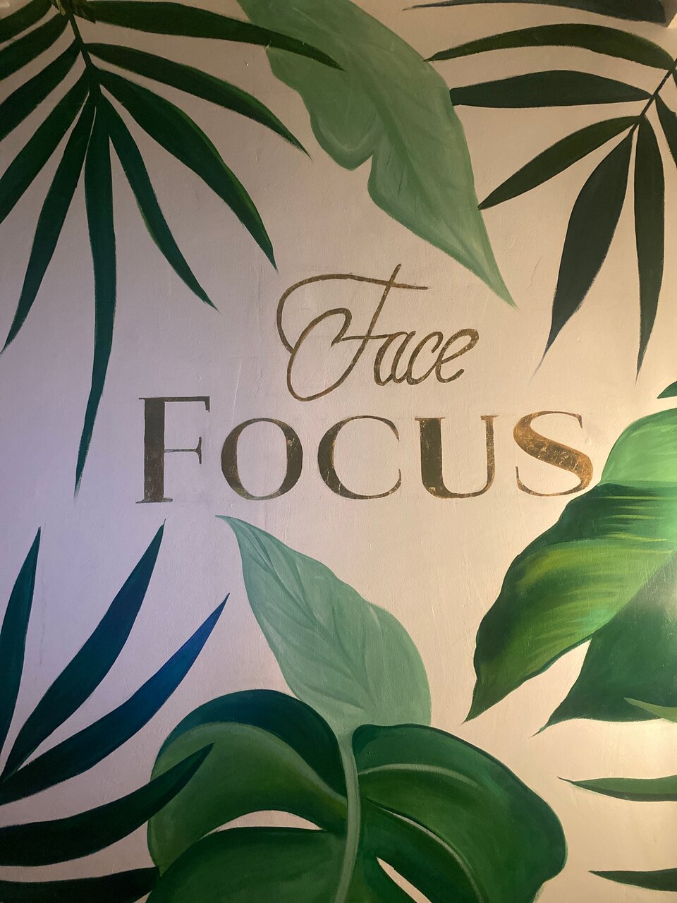 Focus Face