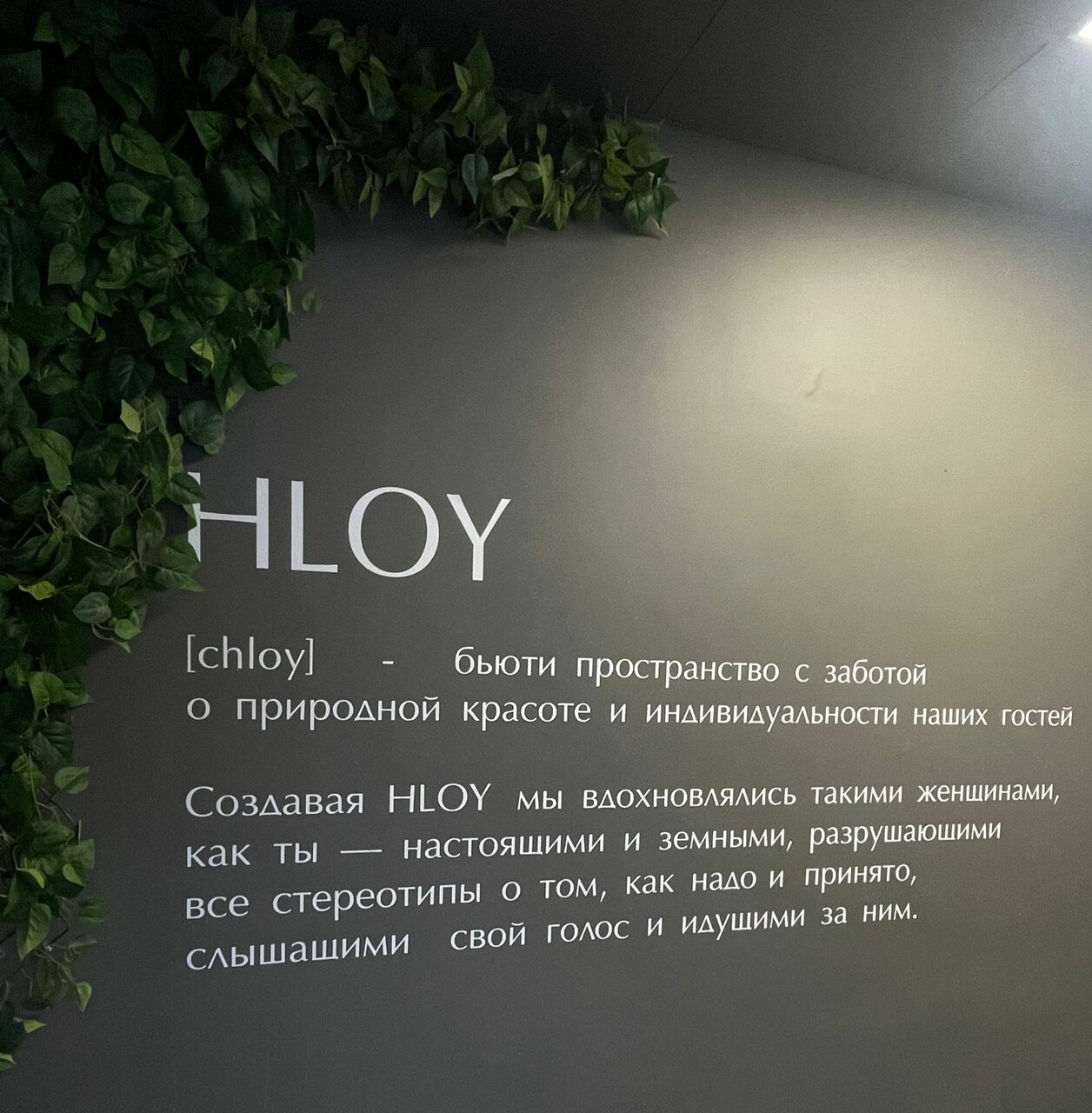 Фото салона