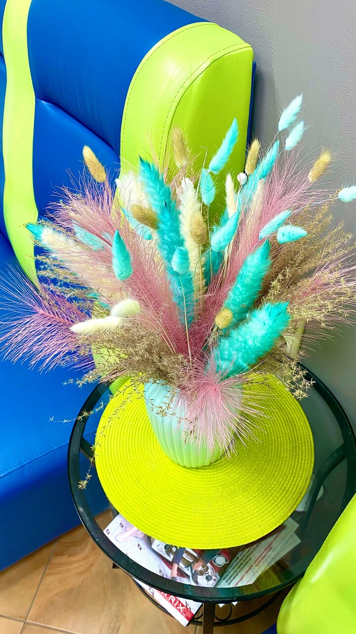БК Весна