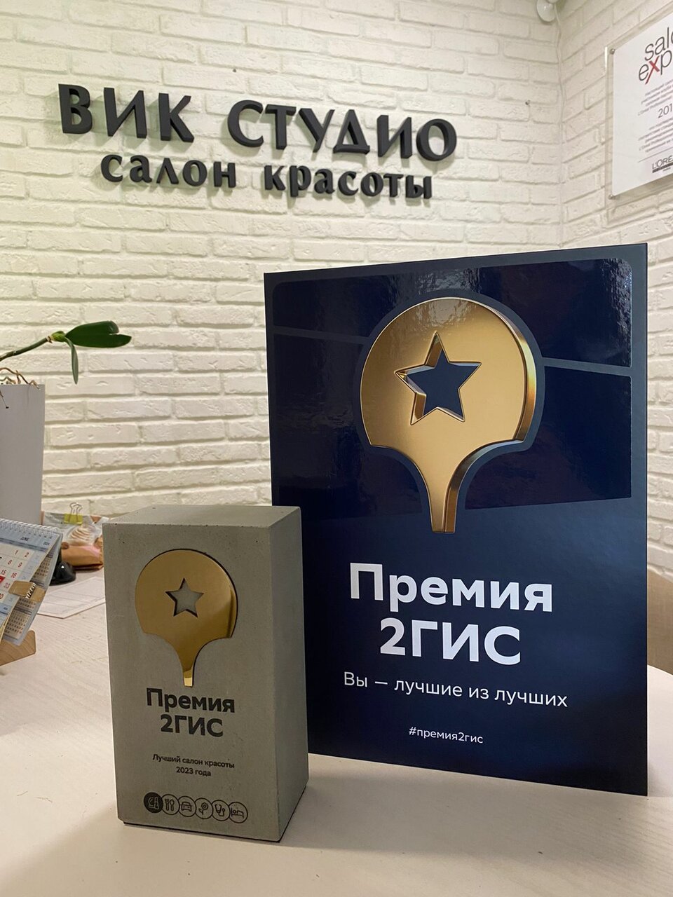Вик Студио