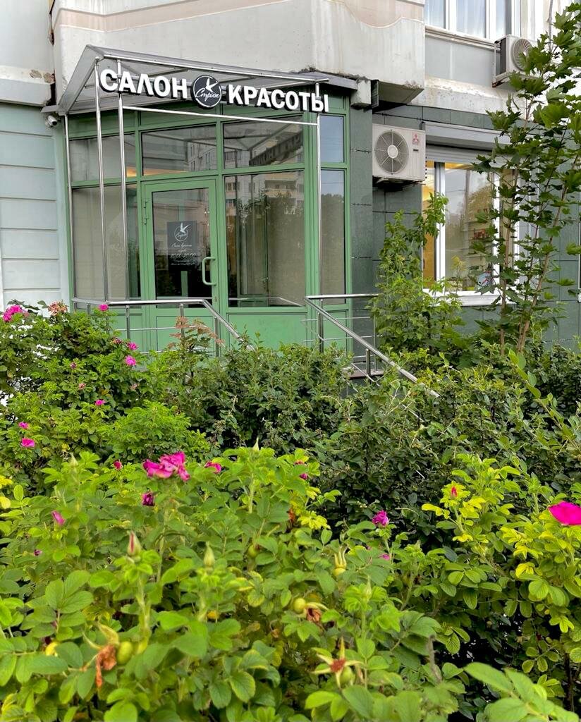 Стриж, вход