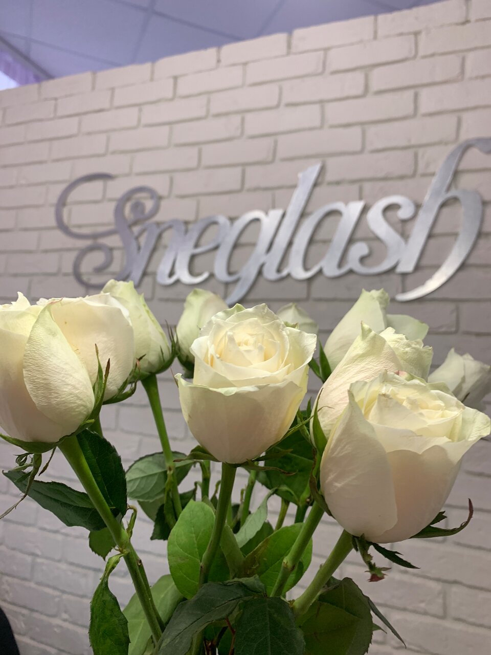 Sneglash
