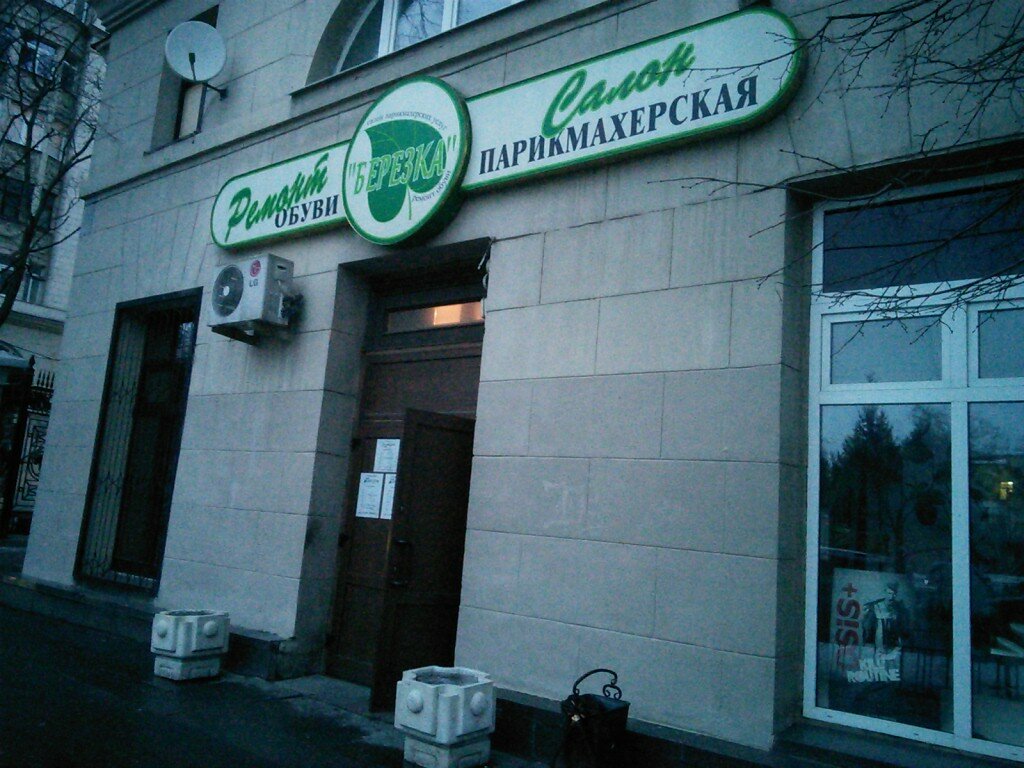 Берёзка