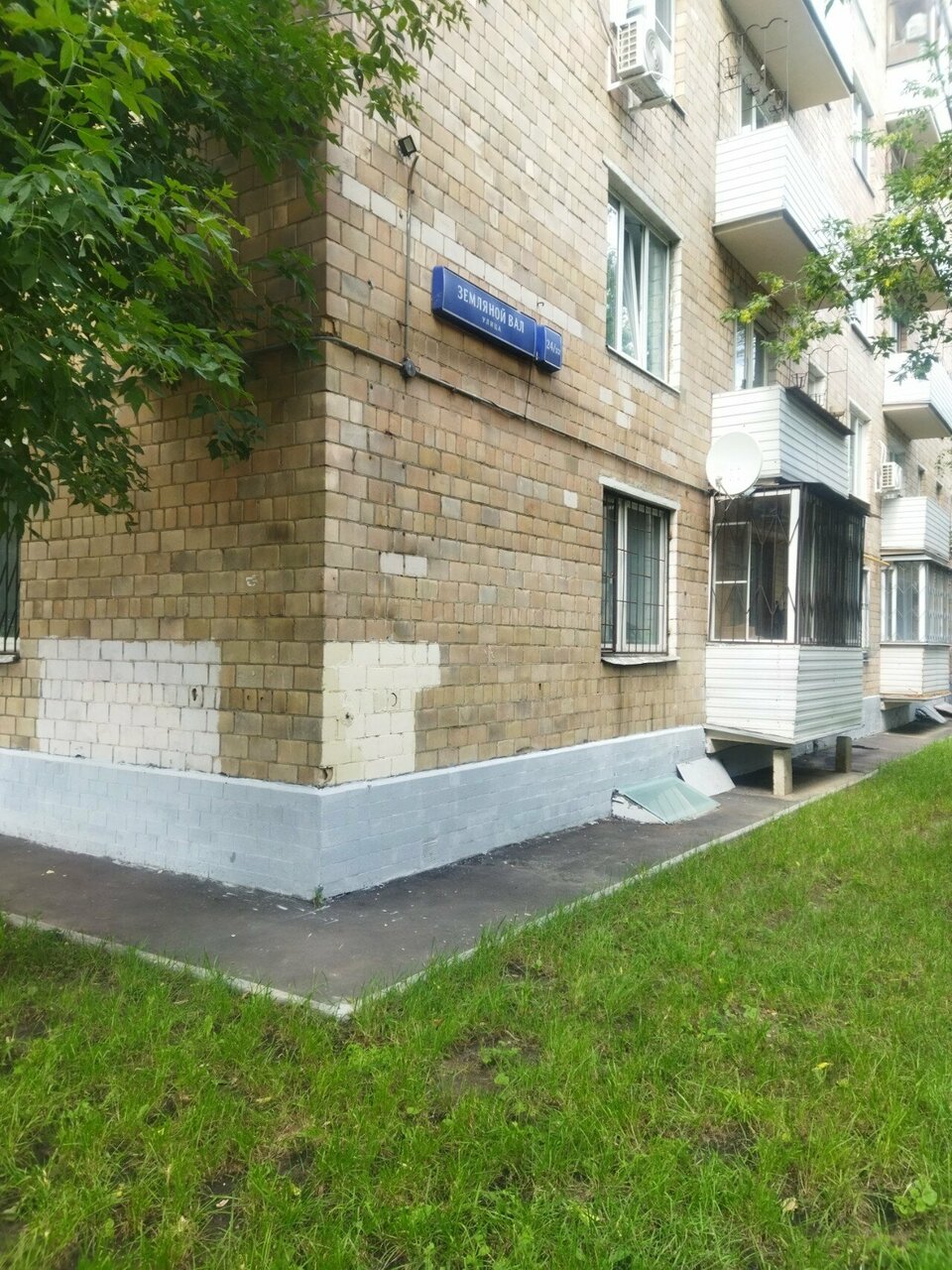 Медуница