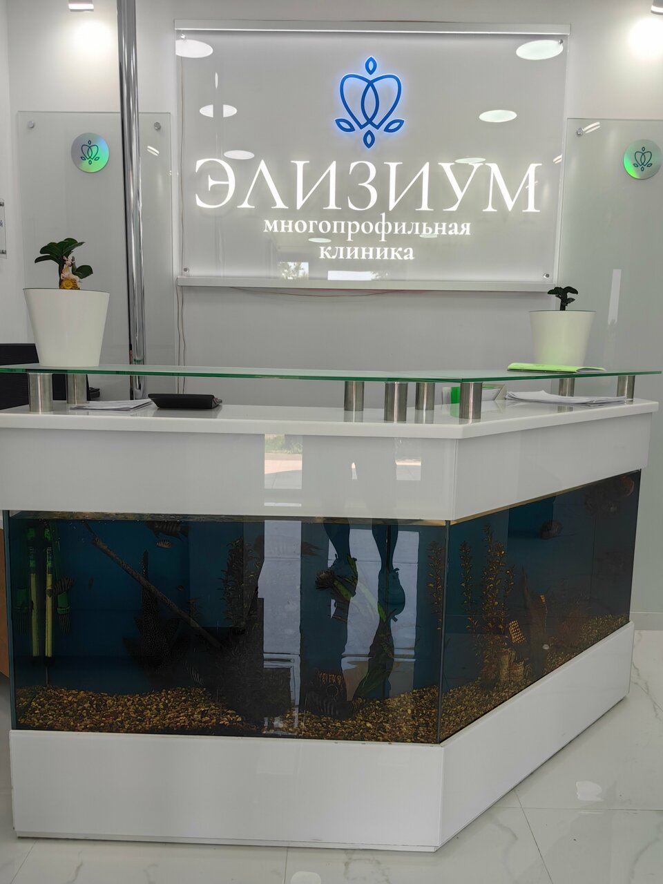Элизиум