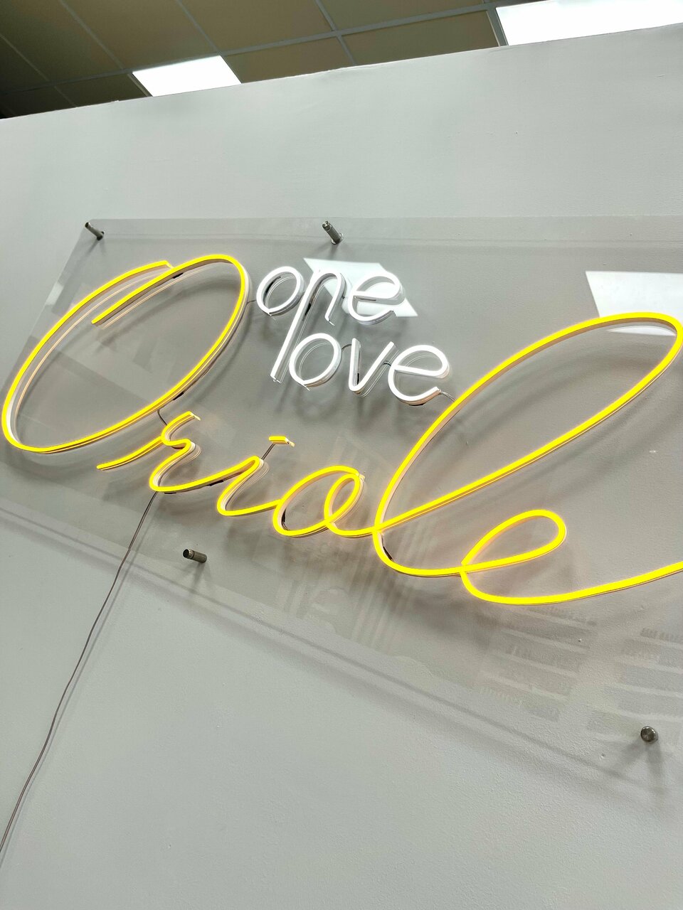 Oriole Studio