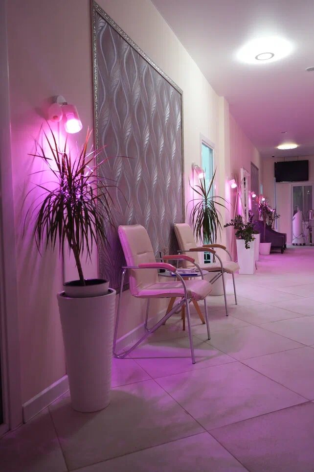 StepmedicalZ