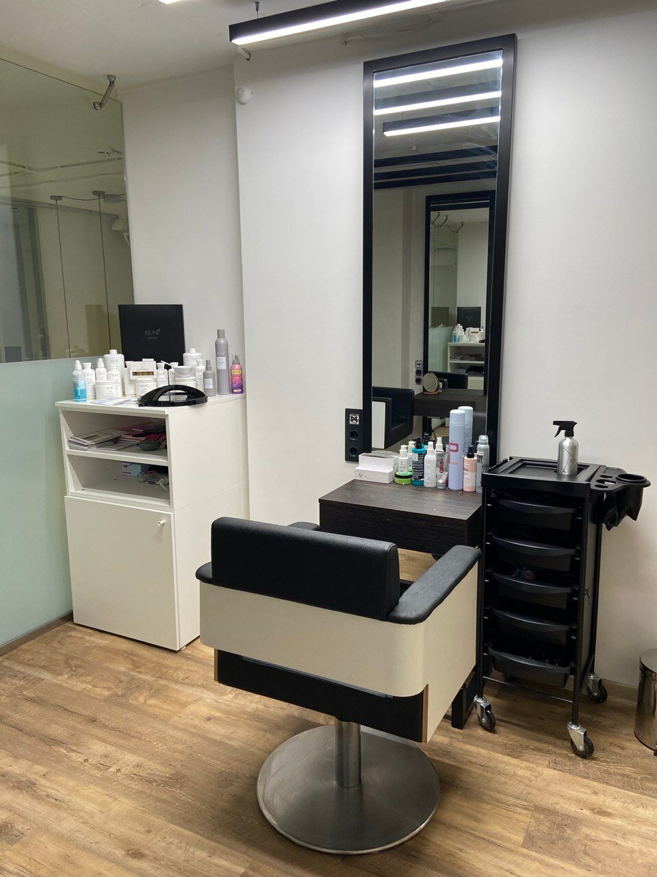 Hairstyle_chemova