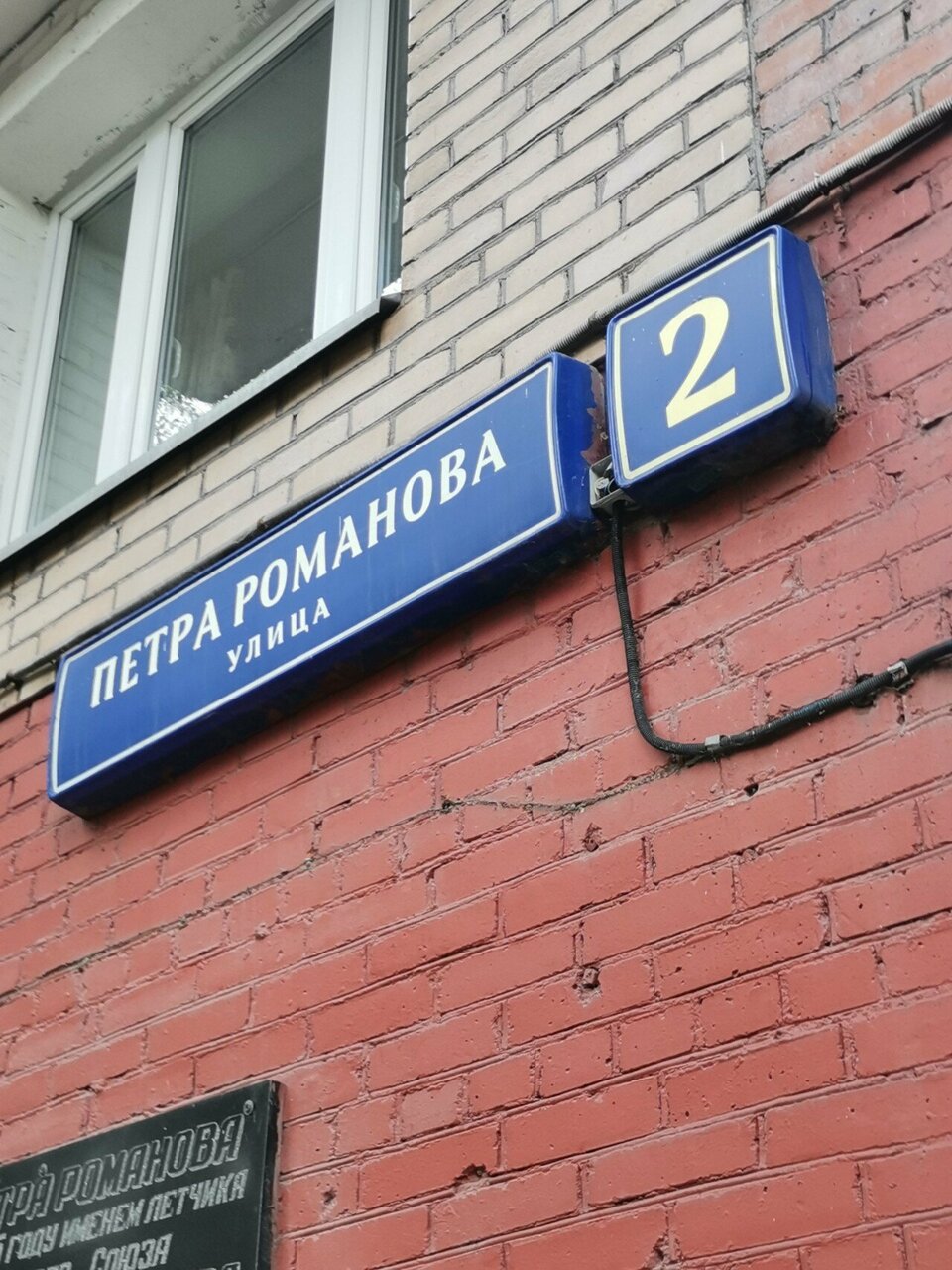 Студия Wtf