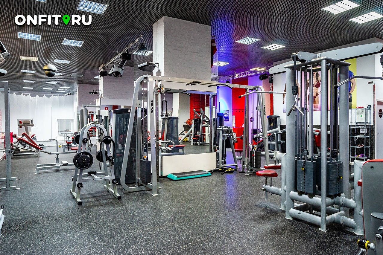 Гимнастика